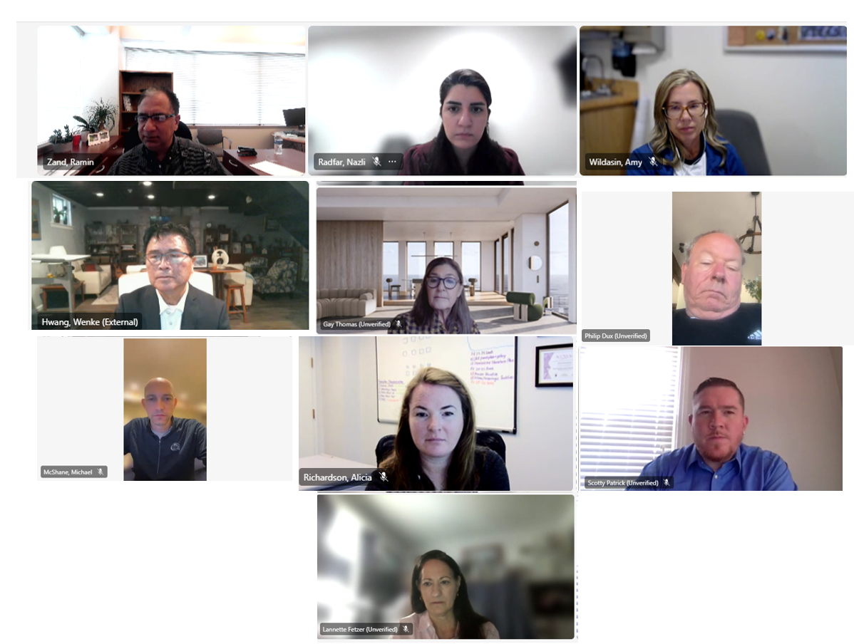 Screenshot showing CAB discussion or meeting